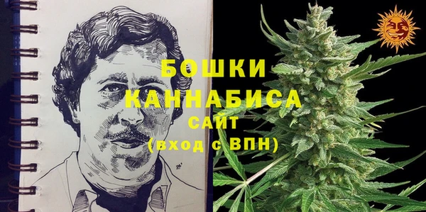 2c-b Коряжма