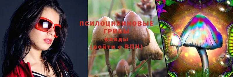 omg как зайти  Оханск  Псилоцибиновые грибы MAGIC MUSHROOMS  как найти закладки 