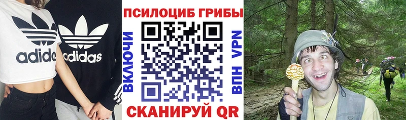 наркотики  hydra зеркало  Галлюциногенные грибы мицелий  Оханск 